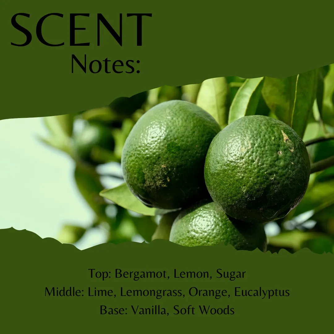 Lemongrass & Lime Fragrance Oil - Reformulated - Image 2