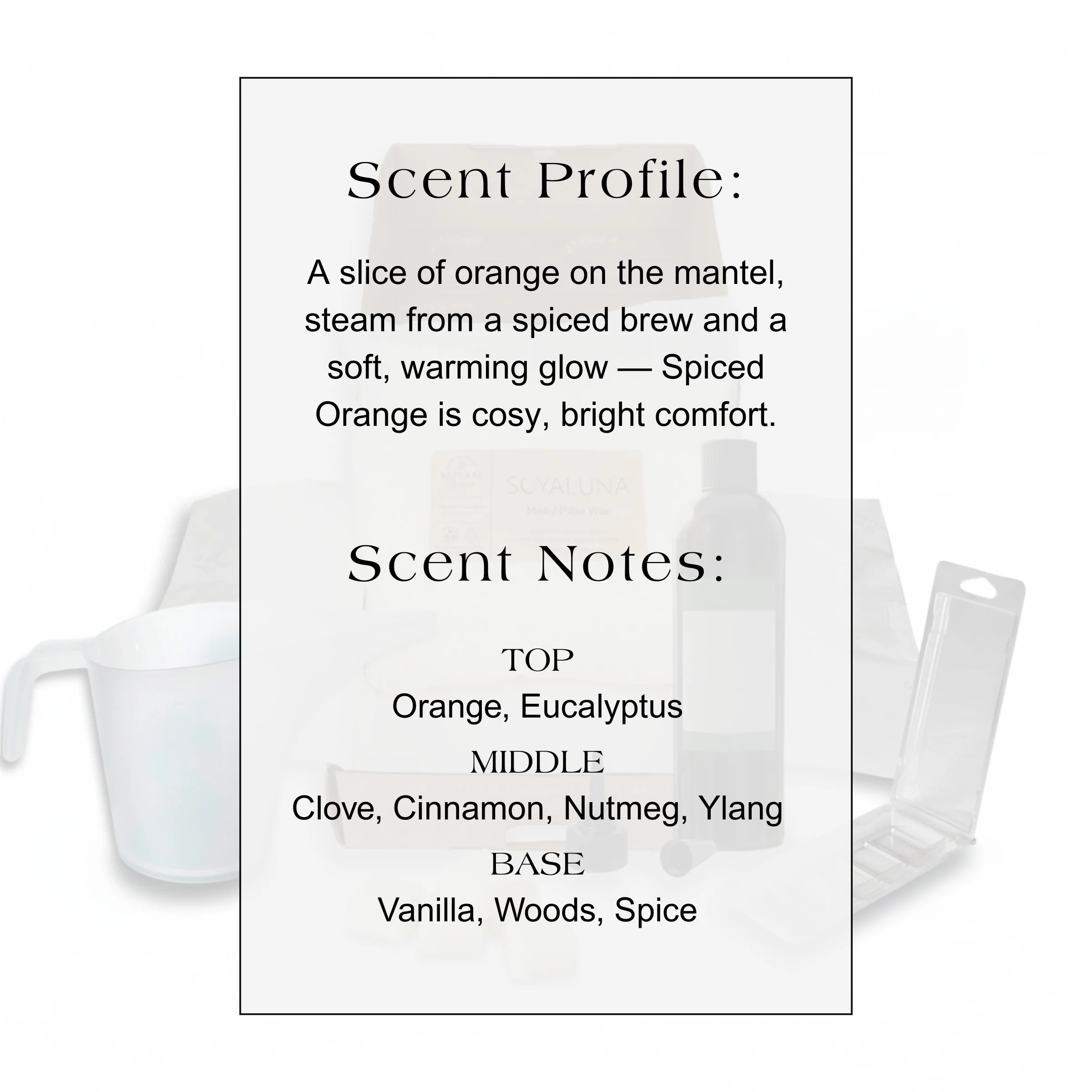 Melt Making Kit - Spiced Orange - Image 4